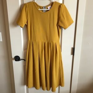 LulaRoe Amelia Dress size M